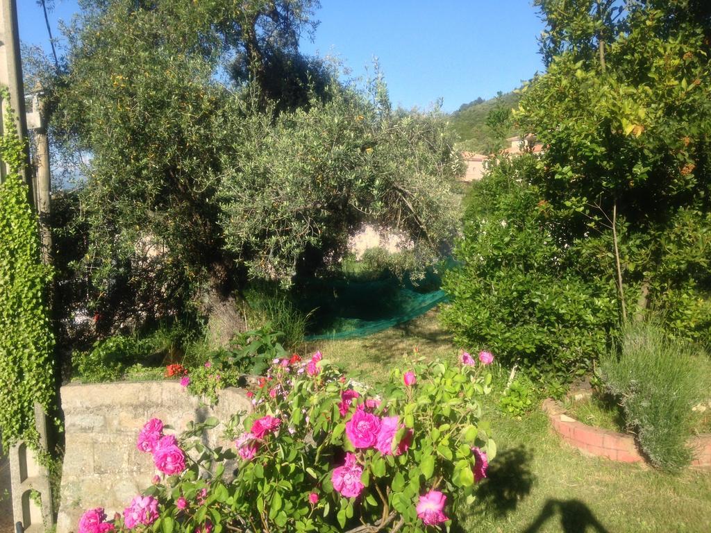 פיאנה Hotel Les Calanques חדר תמונה